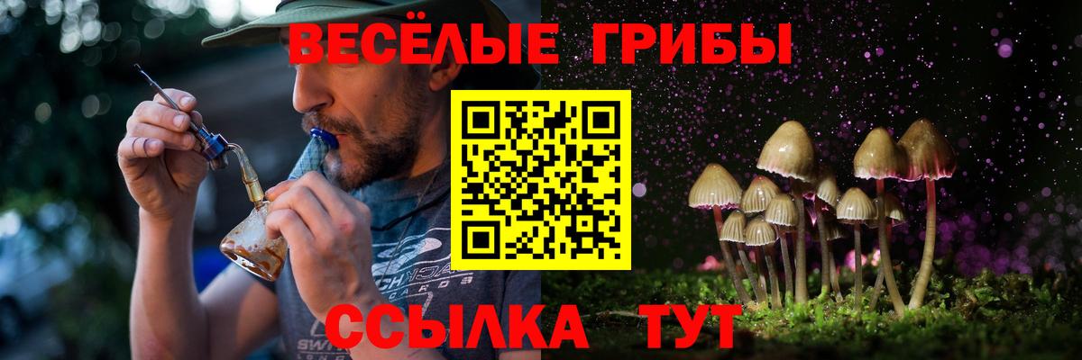 Галлюциногенные грибы Psilocybe Кулебаки